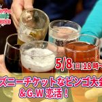 【終了】5月8日(日)18時～ディズニーチケットなビンゴ大会G.W婚活(お料理１０品以上ビュッフェ＋アルコール飲み放題付き)