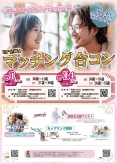 【終了】6月1日(日)18時20分~【男性30~41歳,女性27歳~39歳】ヒナ企画★マッチング合コン